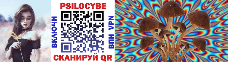 Галлюциногенные грибы Psilocybine cubensis  мега как зайти  Сегежа 
