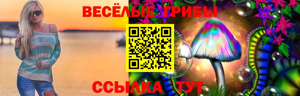 Псилоцибиновые грибы мухоморы  Вход с VPN  наркошоп  Псилоцибиновые грибы мухоморы  Сегежа 