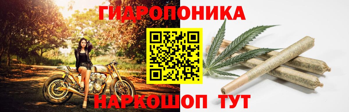 Шишки марихуана AK-47  Канабис ГИДРОПОН  Сегежа  Вход с VPN  Бошки марихуана LSD WEED  Марихуана SATIVA & INDICA 